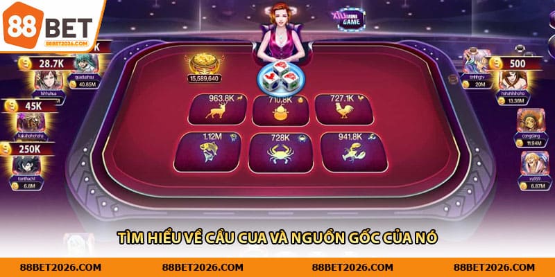 Tìm hiểu về cầu cua và nguồn gốc của nó